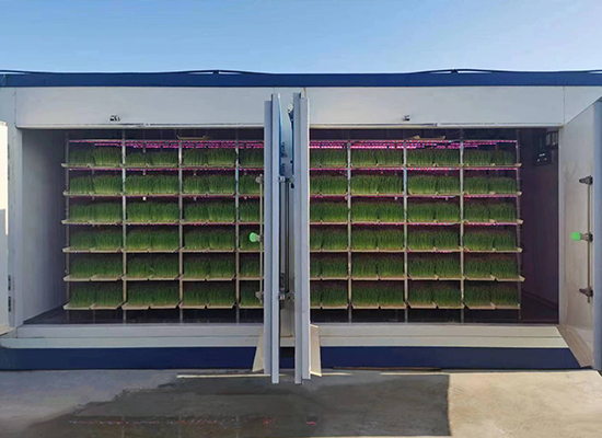 吉林春景集团牧草工厂
